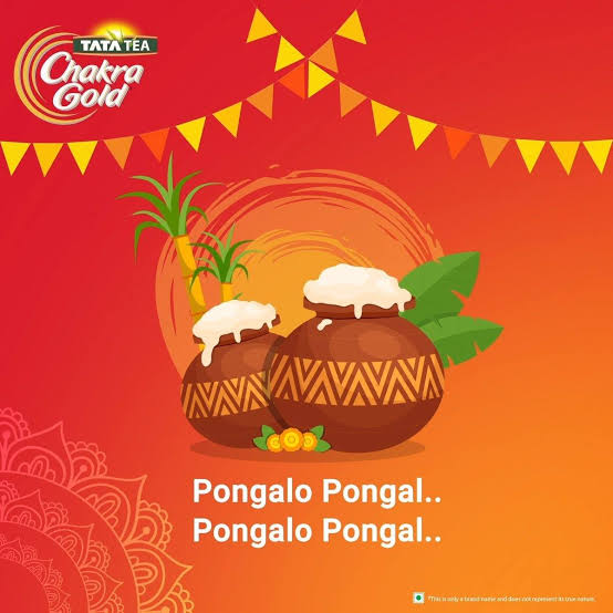 TATA Tea Pongal Campaign Thumbnail